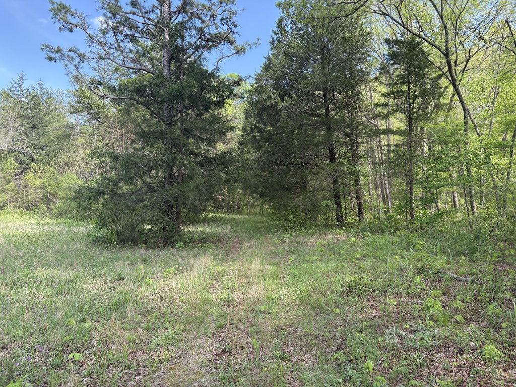Picture 6