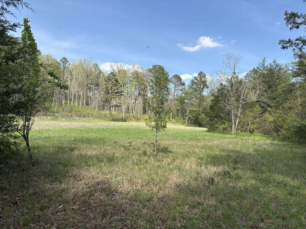 Picture 5