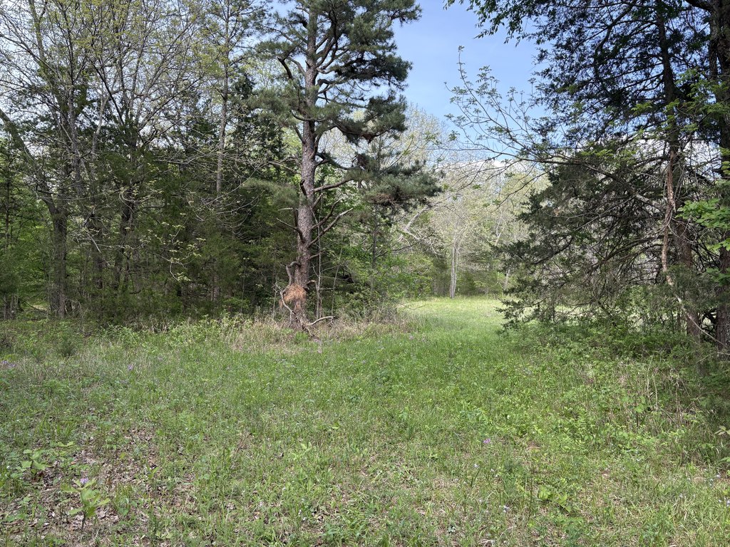 Picture 13