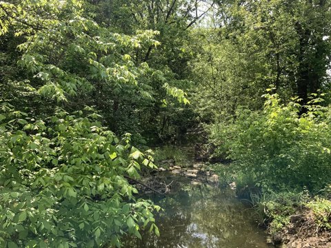 Lawrenceburg Land for Hunting