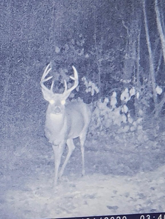 Picture 27