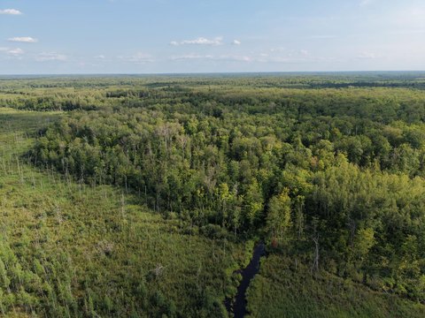 Hunting Land with Deer Camp