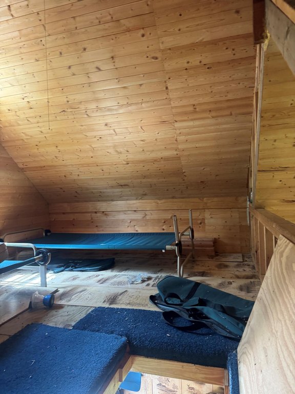 Picture 19