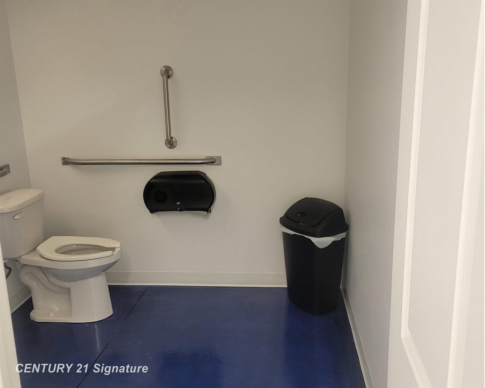 Picture 16