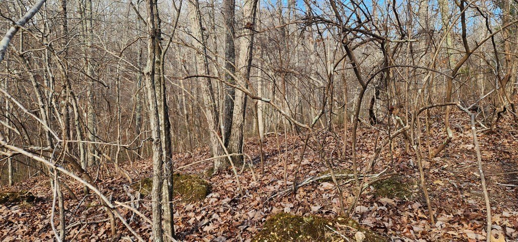 Picture 3