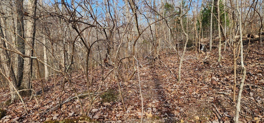Picture 4