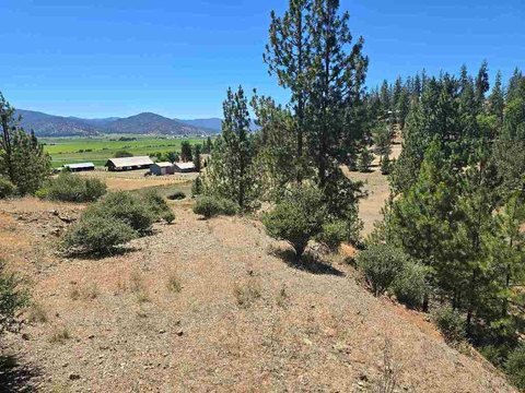 Equestrian Property with Pole Barn
