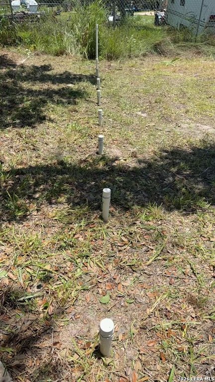 Picture 11