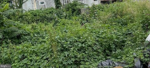 Vacant Lot in Philadelphia