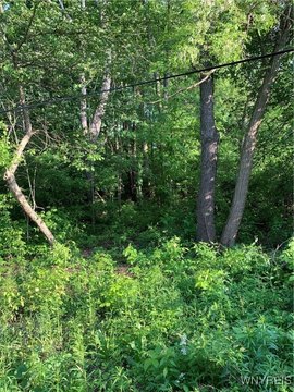 Buildable Lot Near Lake Erie