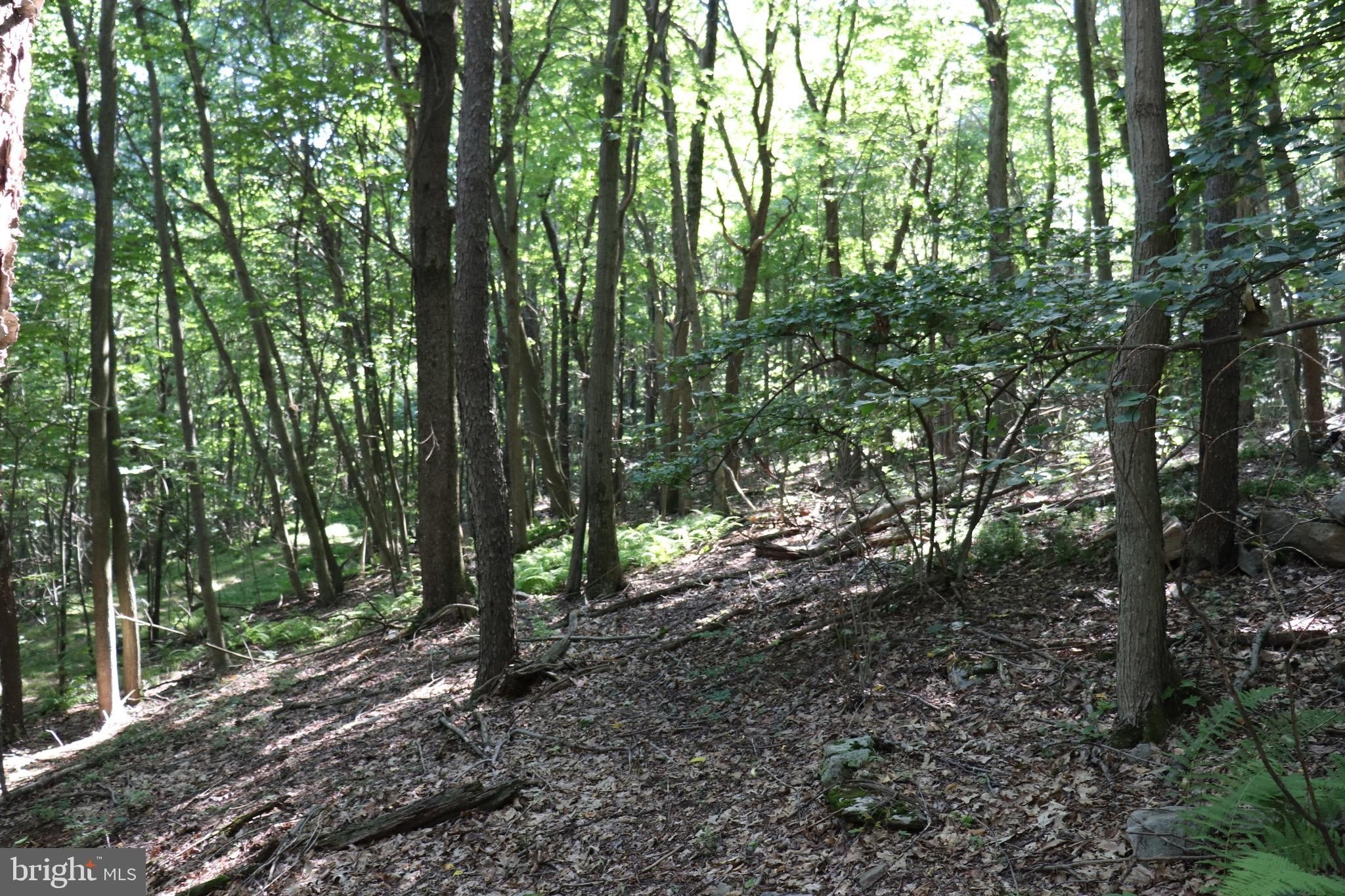 Residential Land in Claysburg, PA