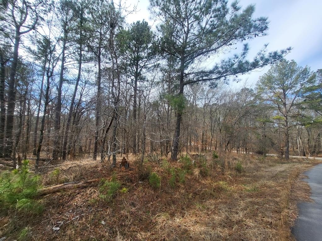 Land in East Lake Community