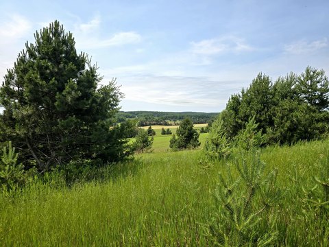 HARBOR SPRINGS, MI