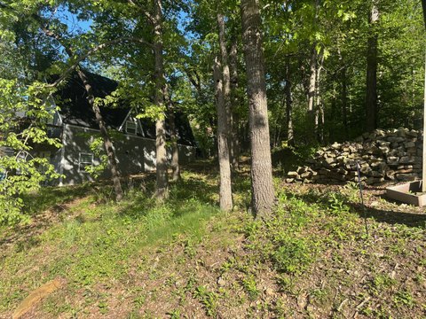 LAND - Lampe, MO
