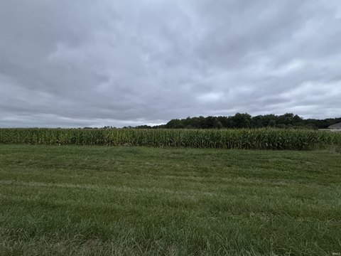 Residential Land in Convenient Location