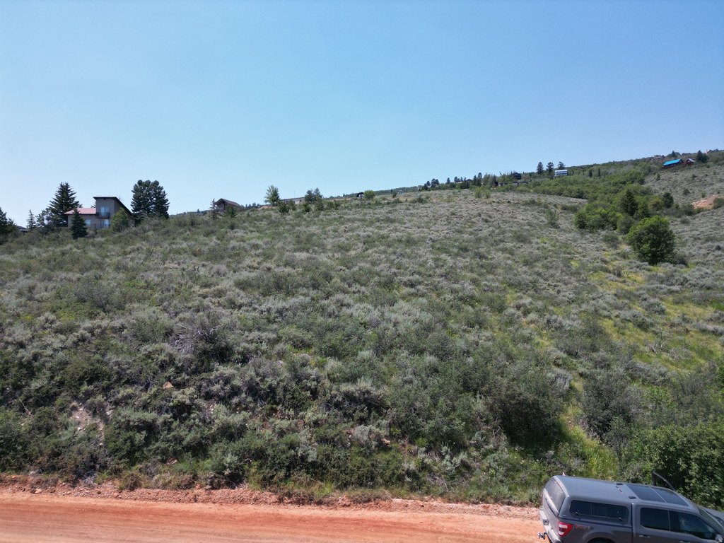 Picture 11