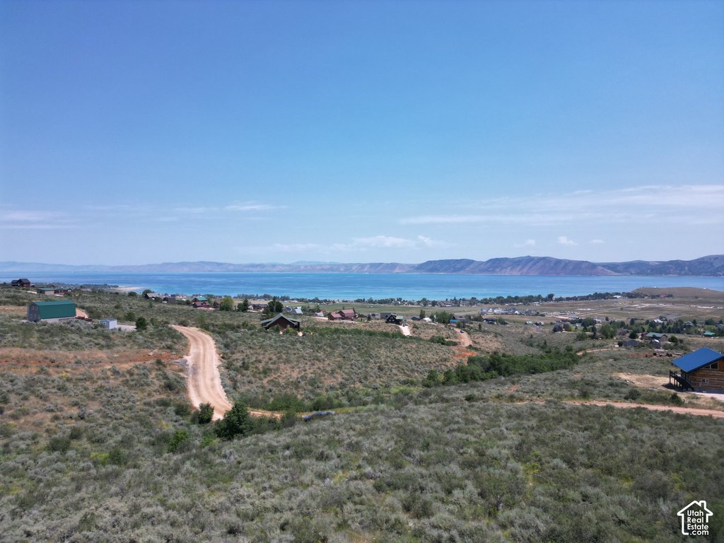 Picture 9