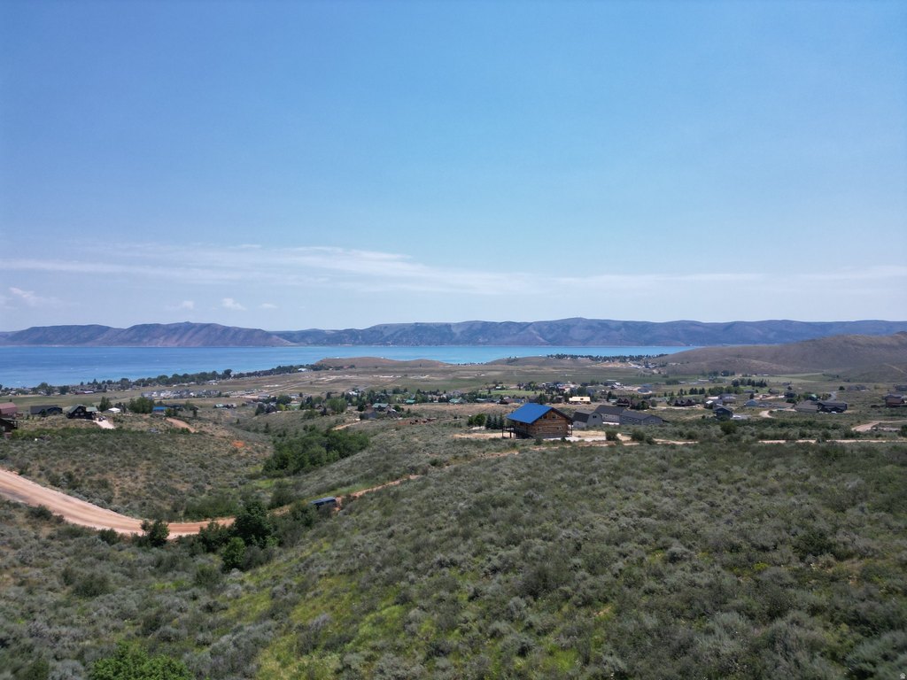 Picture 8