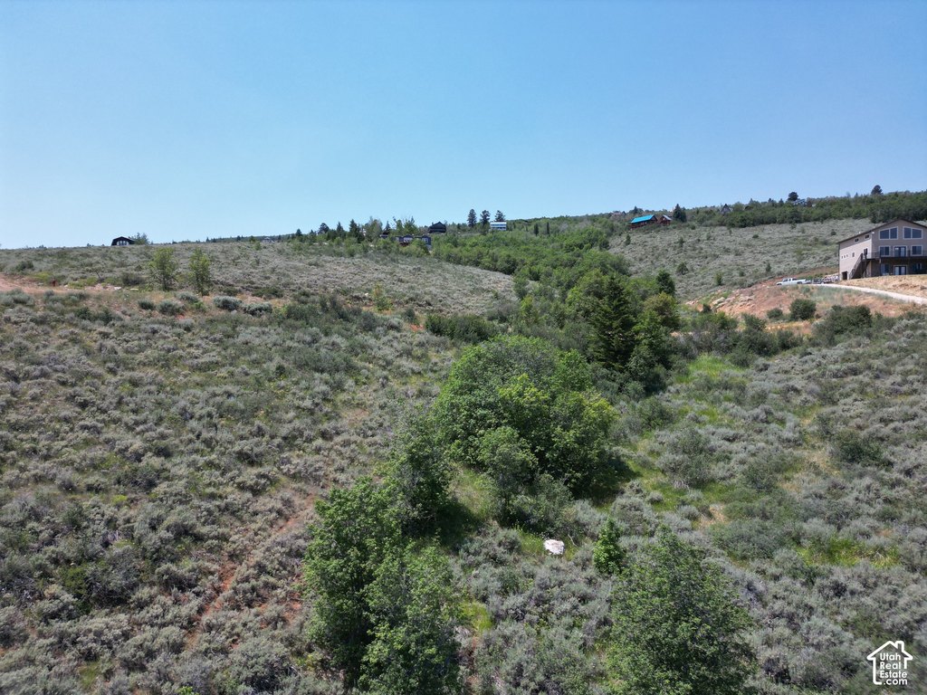 Picture 7