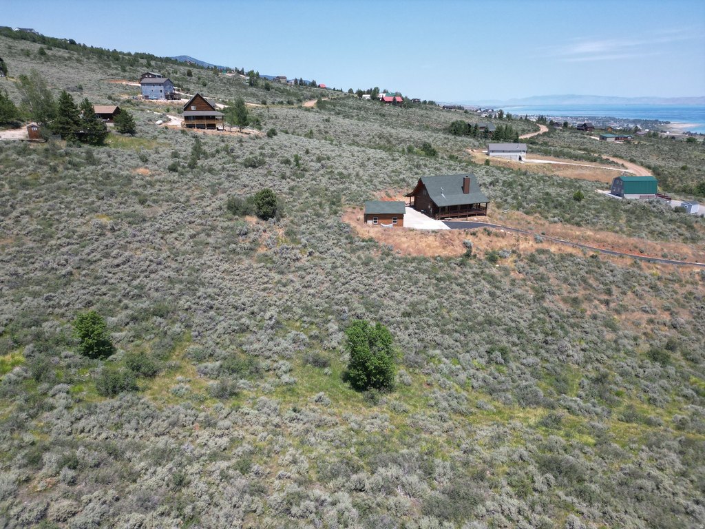Picture 5