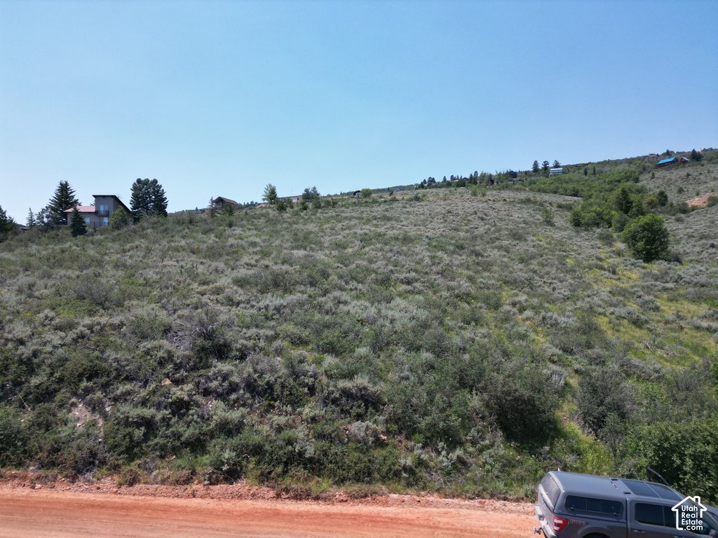 Picture 11