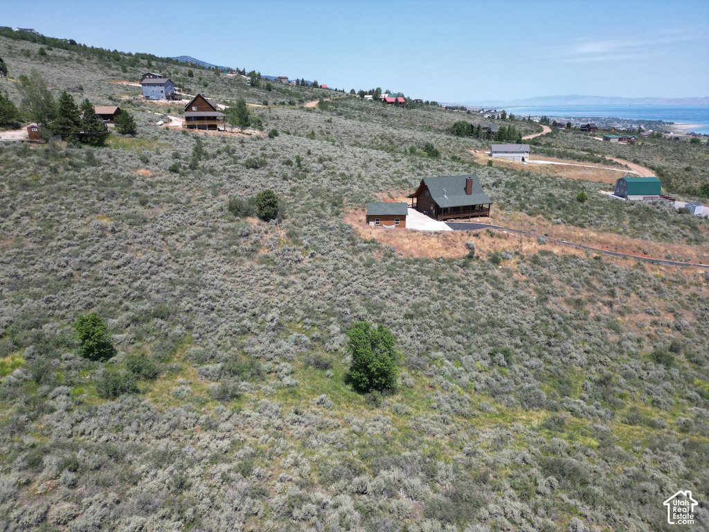Picture 5