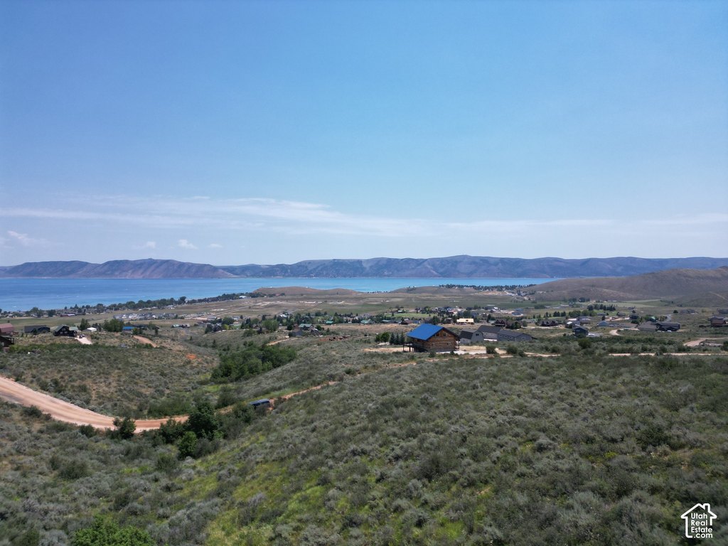 Picture 8