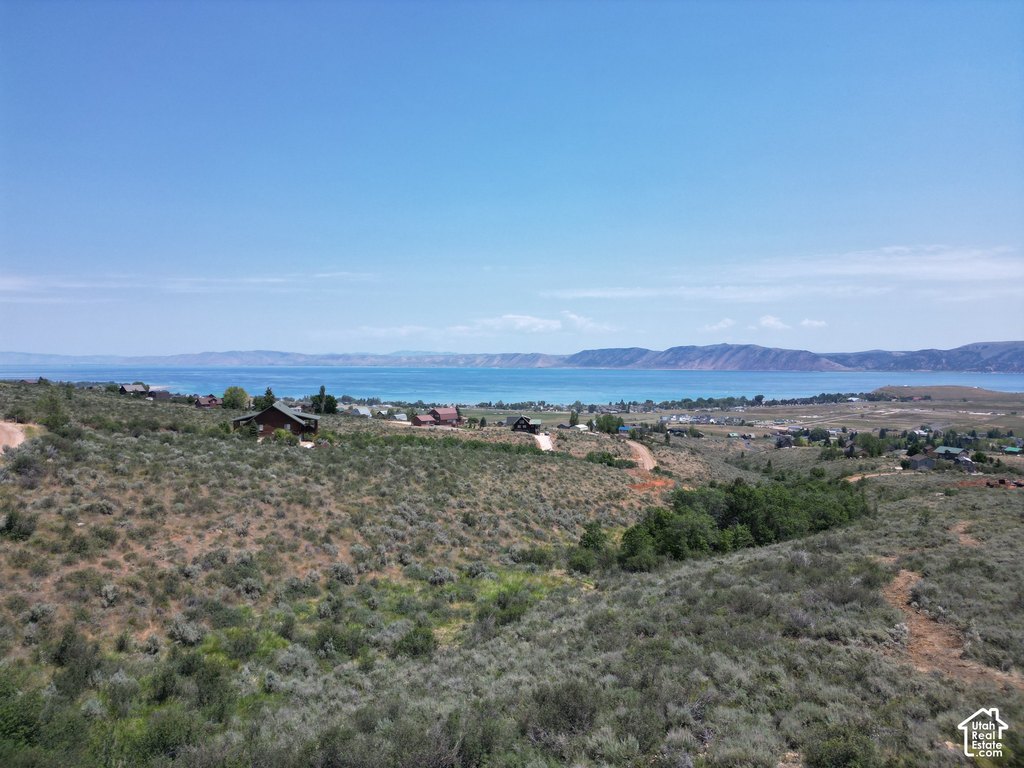 Picture 3