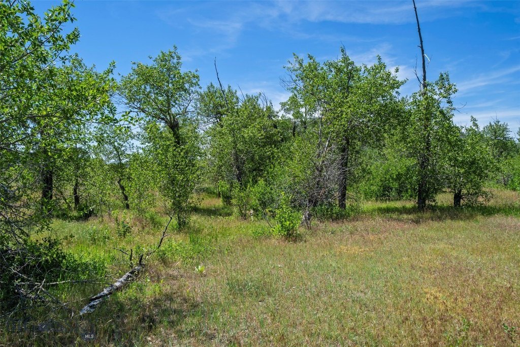 Picture 19
