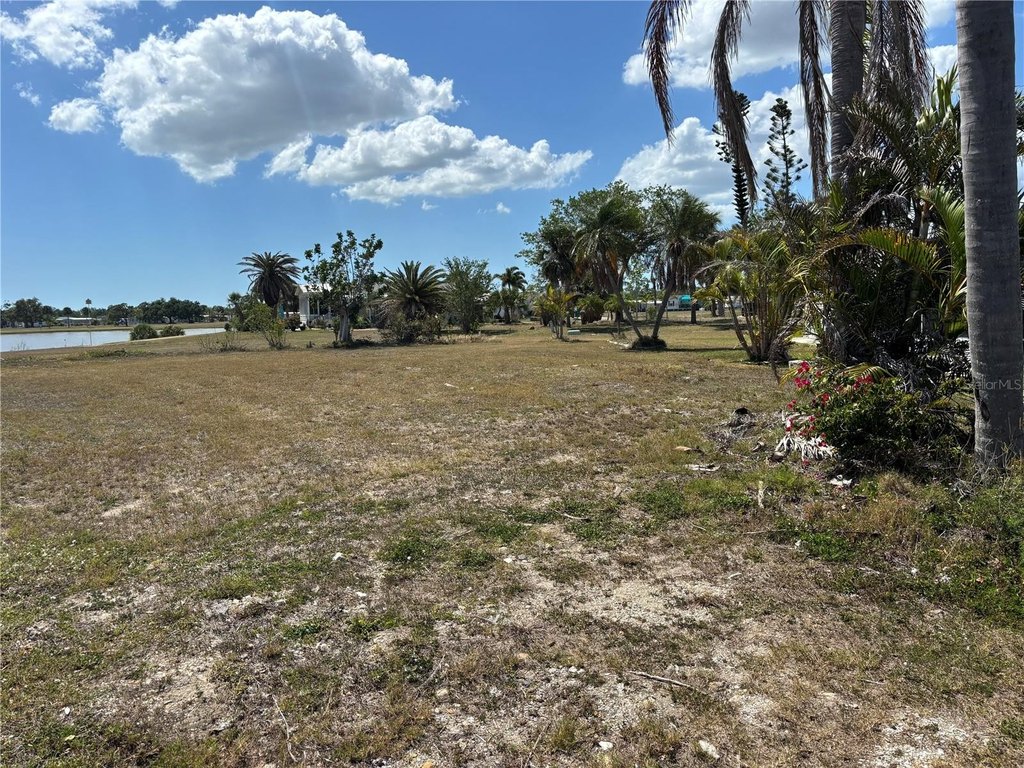 Picture 4