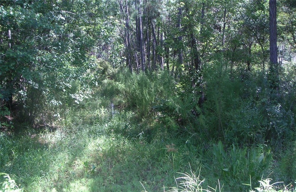 Picture 3