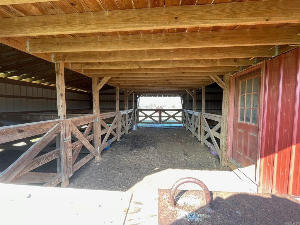 Picture 5