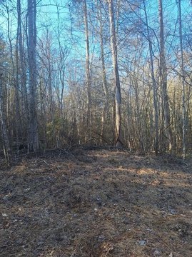 Level Residential Land Lot