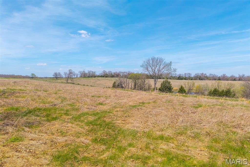 33.81 Acres in Richland, MO