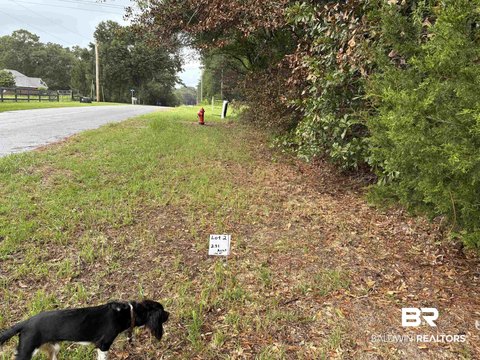 Wooded Land with Road Frontage