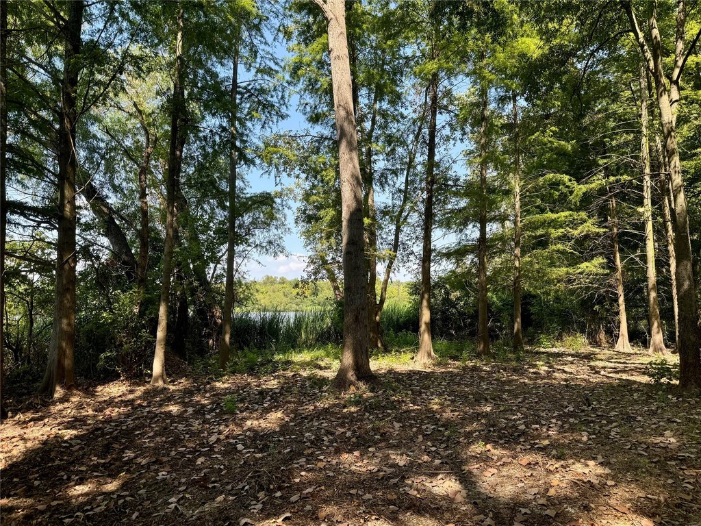 Picture 24