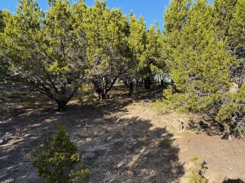 Residential Lakeview Land Lot