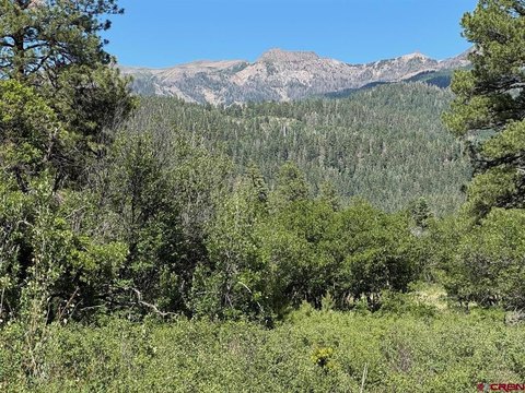 Pagosa Springs Land For Sale