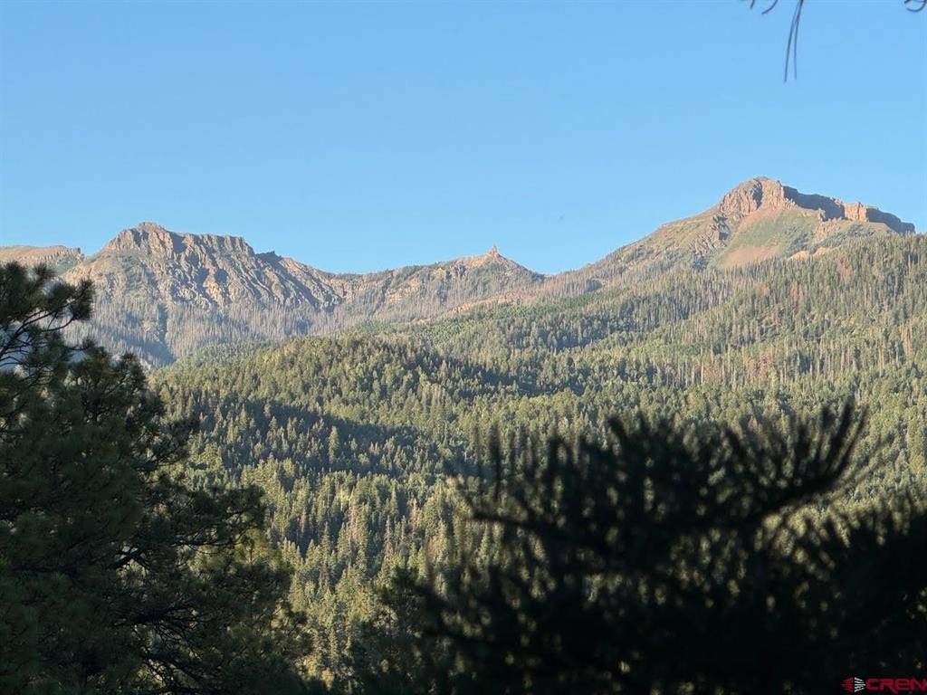 Picture 25