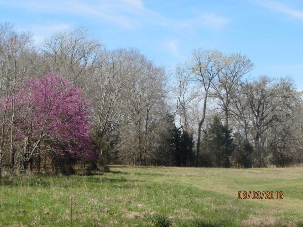 Picture 10