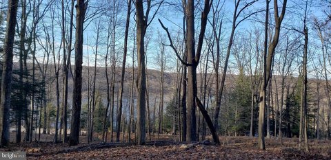 Lake View Building Site