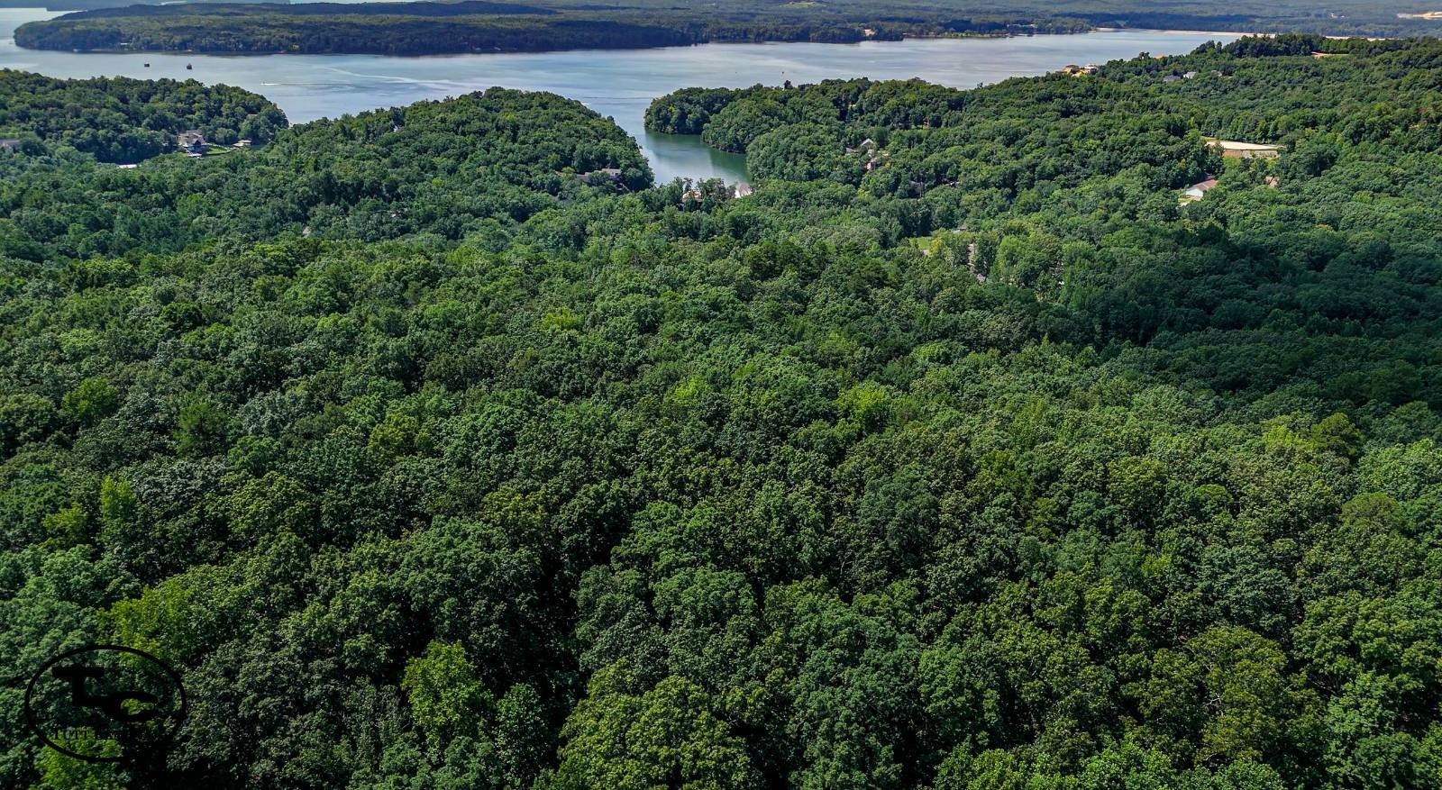 95 Acres Timber Investment Property
