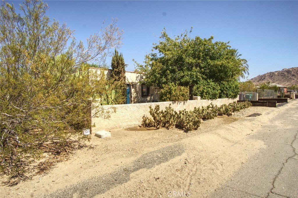 Picture 24