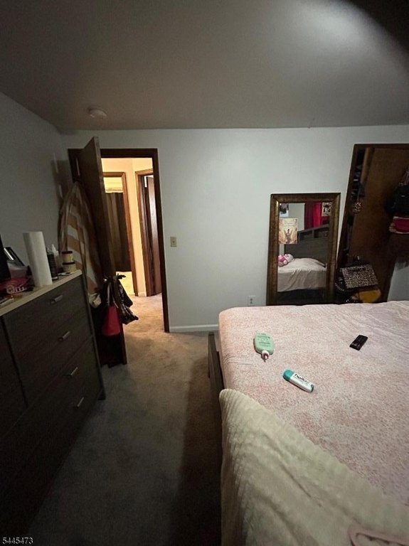 Picture 29