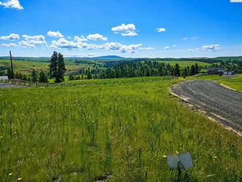 8.05 Acre Palouse Paradise