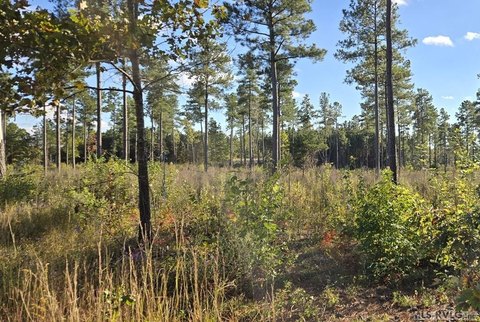 Residential Land in Lawrenceville, VA