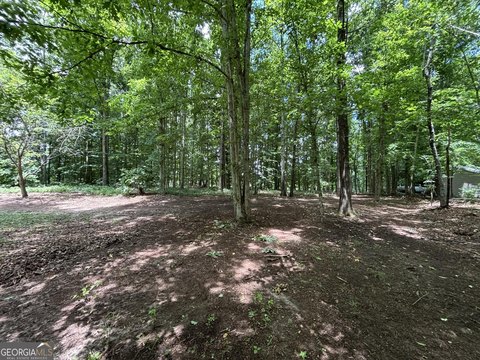 LAND - Cleveland, GA