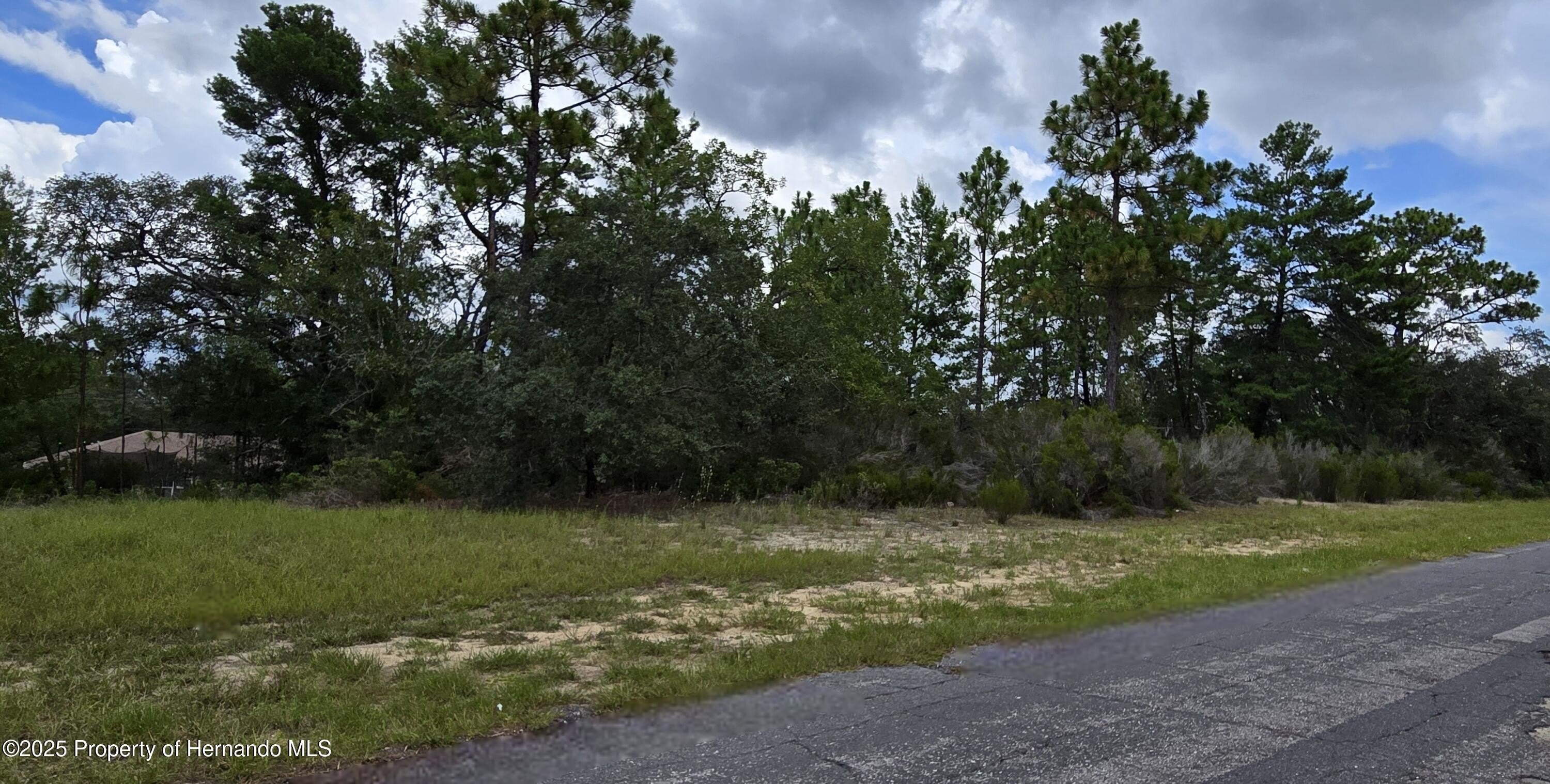 Citrus Springs Double Lot Opportunity