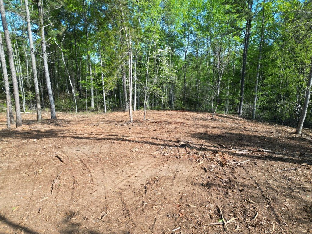 Picture 15