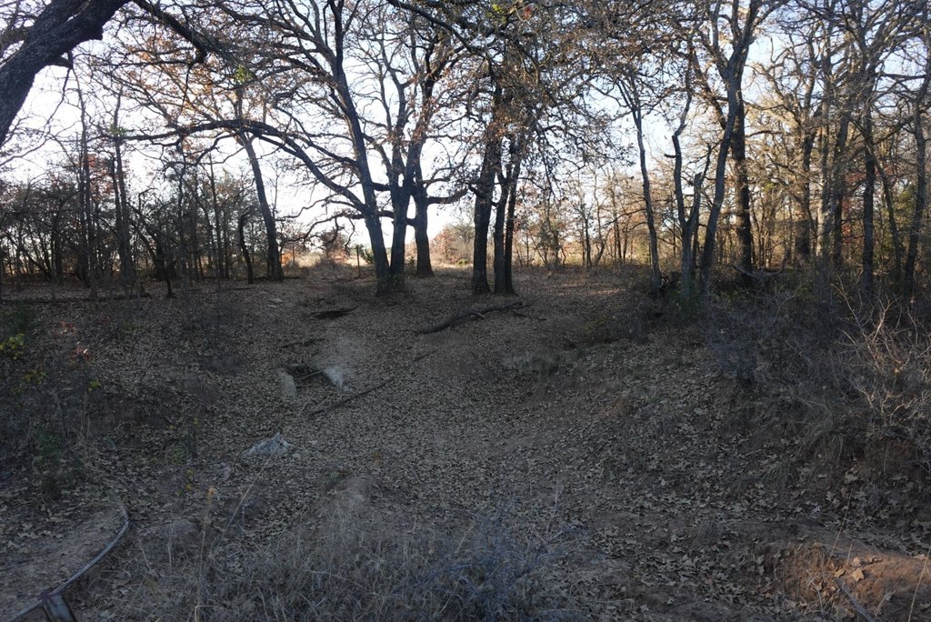 Picture 14